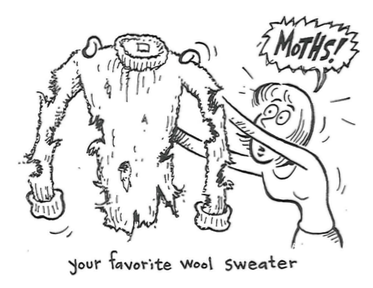 Motten kunnen wol aantasten