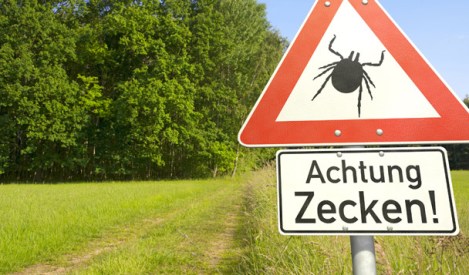 Ook in Nederland moet je oppassen voor teken (Zecken in het Duits)