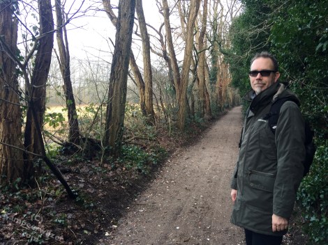 Pad door het Goois Natuurreservaat